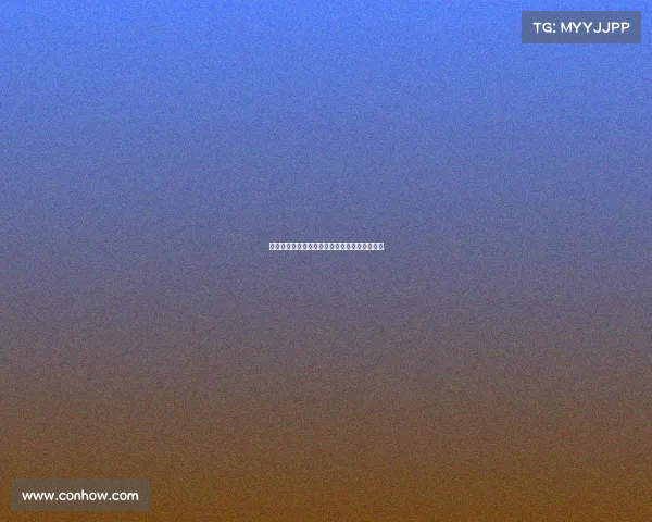 宝马征战全球顶级汽车赛事辉煌历程与未来展望