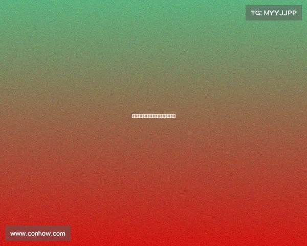 拳击赛事全解析职业业余比赛类型盘点