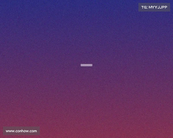 林书豪加盟广东队